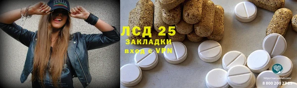 гашик Балахна