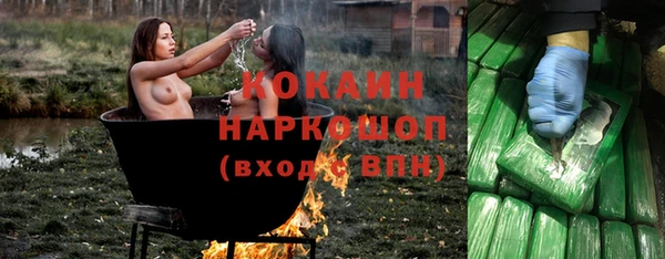 гашик Балахна
