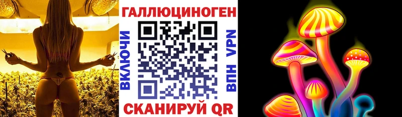 Купить Палласовка Псилоцибиновые грибы MAGIC MUSHROOMS